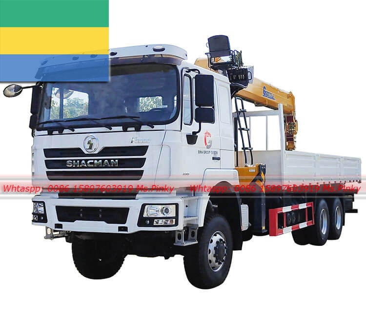 430HP toutes les roues motrices Shacman camion monté 14Tons XCMG grue exportation vers le Gabon